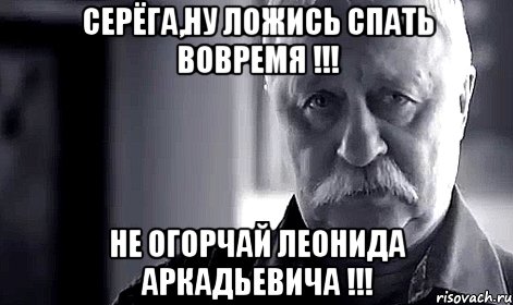 серёга,ну ложись спать вовремя !!! не огорчай леонида аркадьевича !!!, Мем Не огорчай Леонида Аркадьевича