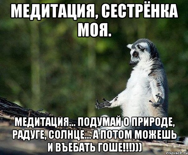 медитация, сестрёнка моя. медитация... подумай о природе, радуге, солнце... а потом можешь и въебать гоше!!!))), Мем не узбагоюсь