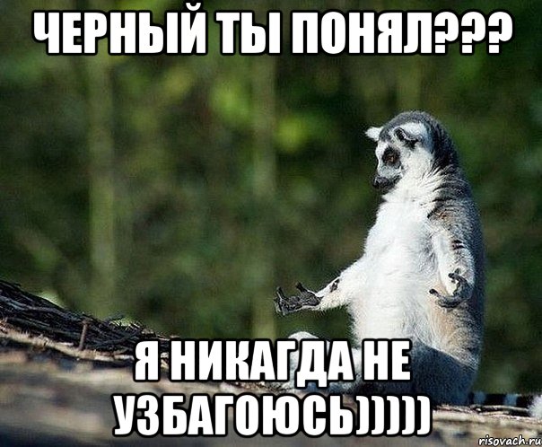 черный ты понял??? я никагда не узбагоюсь))))), Мем не узбагоюсь