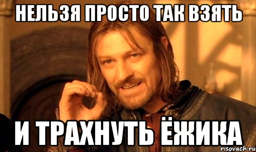 нельзя просто так взять и трахнуть ёжика, Мем Нельзя просто так взять и (Боромир мем)