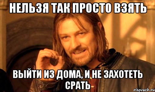 нельзя так просто взять выйти из дома, и не захотеть срать, Мем Нельзя просто так взять и (Боромир мем)