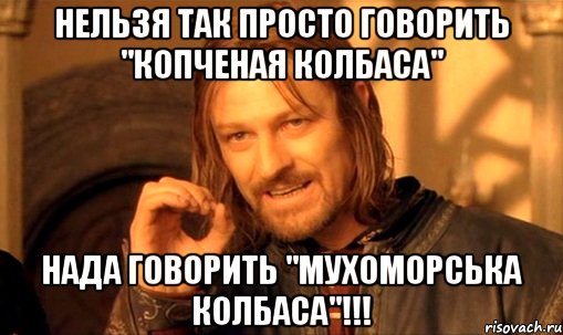 нельзя так просто говорить "копченая колбаса" нада говорить "мухоморська колбаса"!!!, Мем Нельзя просто так взять и (Боромир мем)