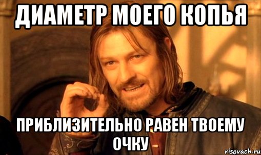 диаметр моего копья приблизительно равен твоему очку, Мем Нельзя просто так взять и (Боромир мем)