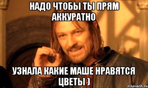 надо чтобы ты прям аккуратно узнала какие маше нравятся цветы ), Мем Нельзя просто так взять и (Боромир мем)