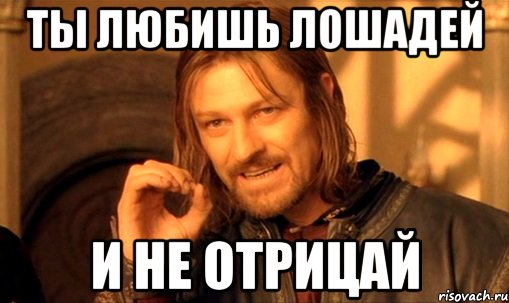 ты любишь лошадей и не отрицай, Мем Нельзя просто так взять и (Боромир мем)