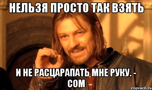 нельзя просто так взять и не расцарапать мне руку. - сом, Мем Нельзя просто так взять и (Боромир мем)