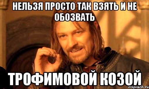 нельзя просто так взять и не обозвать трофимовой козой, Мем Нельзя просто так взять и (Боромир мем)