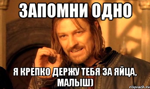 запомни одно я крепко держу тебя за яйца, малыш), Мем Нельзя просто так взять и (Боромир мем)