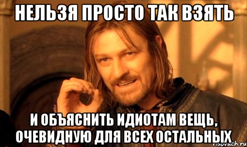 нельзя просто так взять и объяснить идиотам вещь, очевидную для всех остальных, Мем Нельзя просто так взять и (Боромир мем)