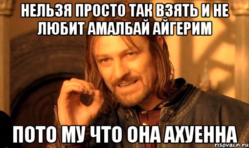 нельзя просто так взять и не любит амалбай айгерим пото му что она ахуенна, Мем Нельзя просто так взять и (Боромир мем)