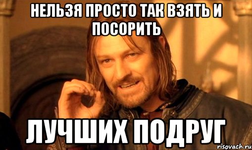 нельзя просто так взять и посорить лучших подруг, Мем Нельзя просто так взять и (Боромир мем)