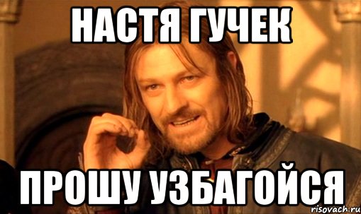 настя гучек прошу узбагойся, Мем Нельзя просто так взять и (Боромир мем)