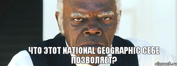 Что этот National Geographic себе позволяет?