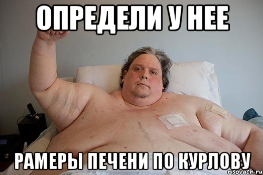определи у нее рамеры печени по курлову, Мем никита