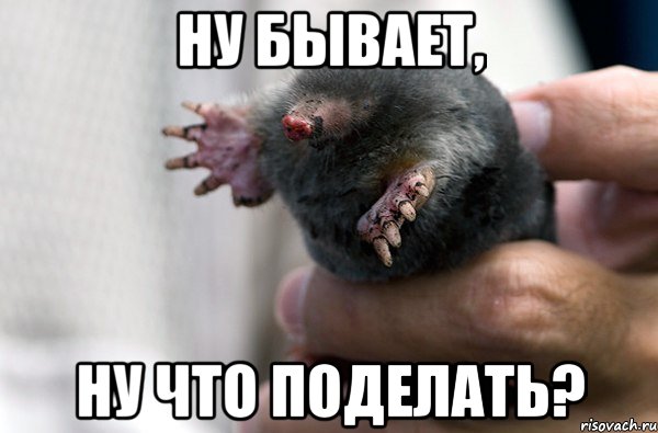 ну бывает, ну что поделать?