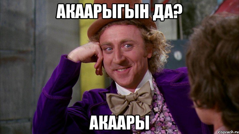 акаарыгын да? акаары