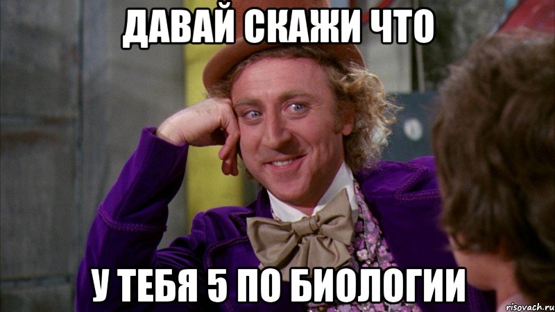 давай скажи что у тебя 5 по биологии, Мем Ну давай расскажи (Вилли Вонка)