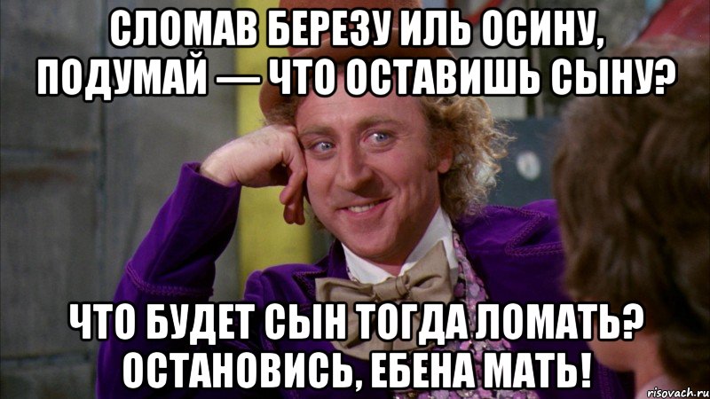 сломав березу иль осину, подумай — что оставишь сыну? что будет сын тогда ломать? остановись, ебена мать!, Мем Ну давай расскажи (Вилли Вонка)