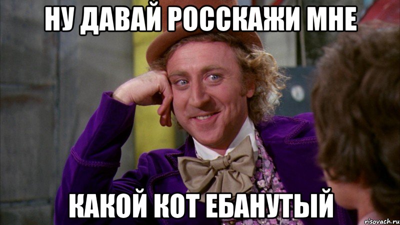ну давай росскажи мне какой кот ебанутый