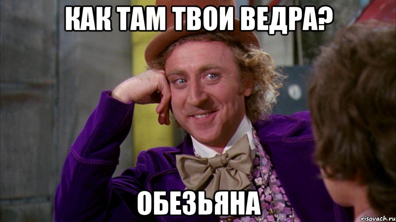 как там твои ведра? обезьяна, Мем Ну давай расскажи (Вилли Вонка)