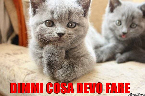 dimmi cosa devo fare, Комикс ну давай