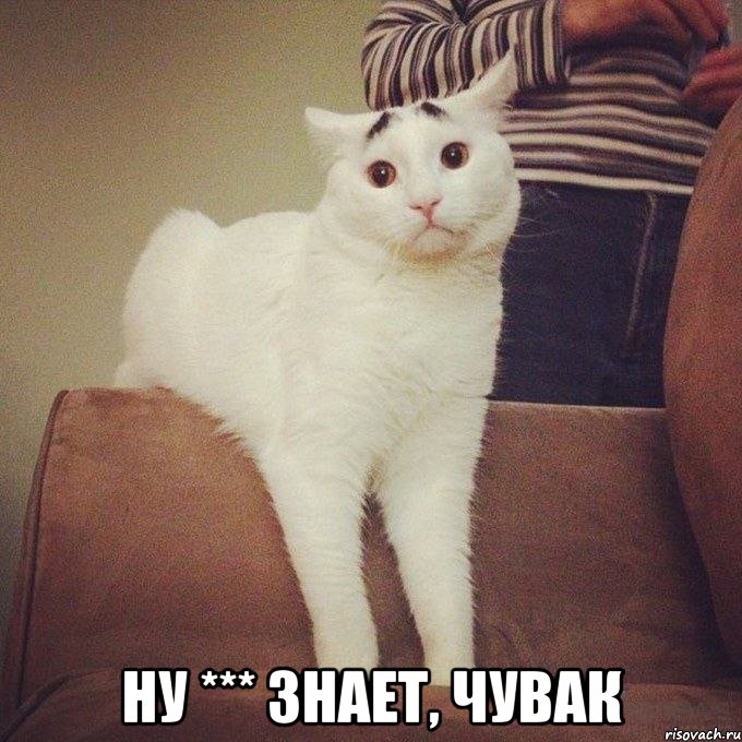  ну *** знает, чувак, Мем ну хуй знает