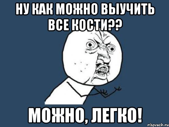 ну как можно выучить все кости?? можно, легко!, Мем Ну почему