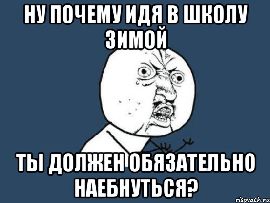 ну почему идя в школу зимой ты должен обязательно наебнуться?, Мем Ну почему