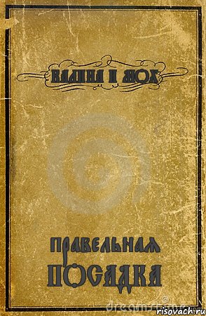 КАЛИНА И МОХ правельная ПОСАДКА, Комикс обложка книги