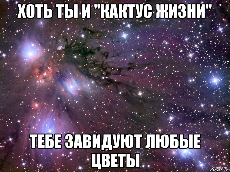 хоть ты и "кактус жизни" тебе завидуют любые цветы, Мем Космос
