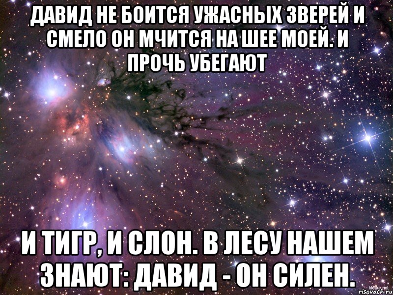 давид не боится ужасных зверей и смело он мчится на шее моей. и прочь убегают и тигр, и слон. в лесу нашем знают: давид - он силен., Мем Космос
