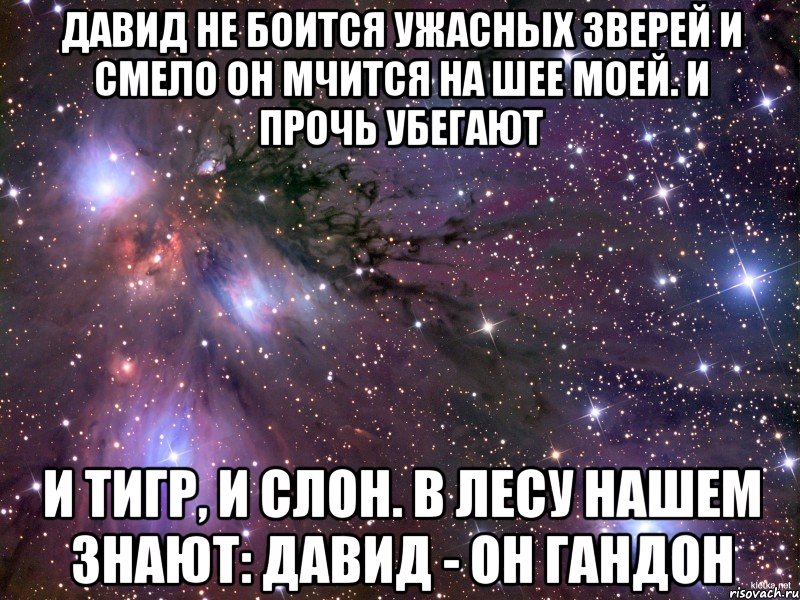 давид не боится ужасных зверей и смело он мчится на шее моей. и прочь убегают и тигр, и слон. в лесу нашем знают: давид - он гандон, Мем Космос