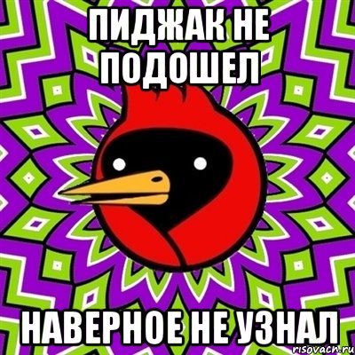 пиджак не подошел наверное не узнал, Мем Омская птица