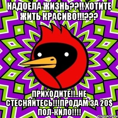 надоела жизнь??!! хотите жить красиво!!!??? приходите!!..не стесняйтесь!!!продам за 20$ пол-кило!!!, Мем Омская птица
