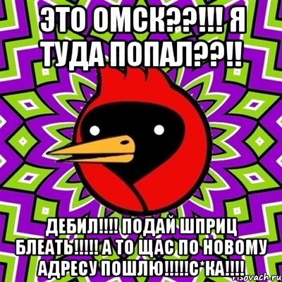 это омск??!!! я туда попал??!! дебил!!! подай шприц блеать!!! а то щас по новому адресу пошлю!!!с*ка!!!, Мем Омская птица