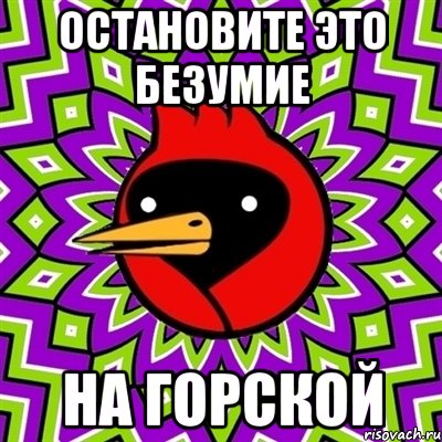 остановите это безумие на горской, Мем Омская птица