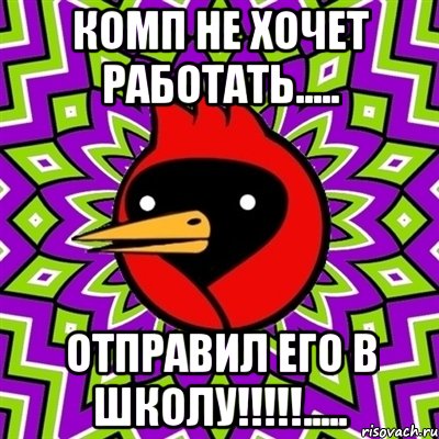 комп не хочет работать..... отправил его в школу!!!....., Мем Омская птица