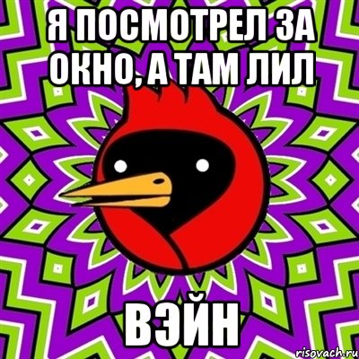я посмотрел за окно, а там лил вэйн, Мем Омская птица