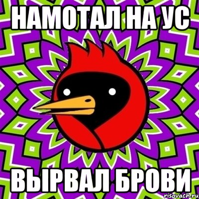 намотал на ус вырвал брови, Мем Омская птица