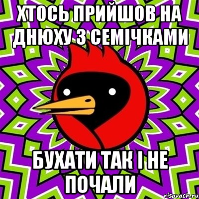 хтось прийшов на днюху з семічками бухати так і не почали, Мем Омская птица