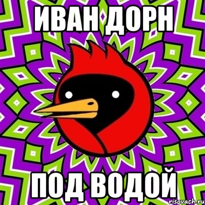 иван дорн под водой, Мем Омская птица