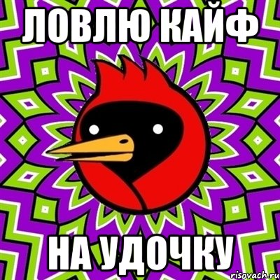ловлю кайф на удочку, Мем Омская птица