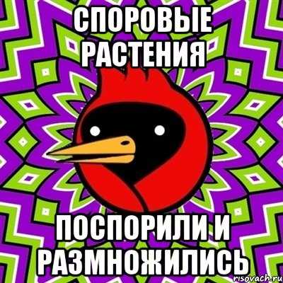споровые растения поспорили и размножились, Мем Омская птица