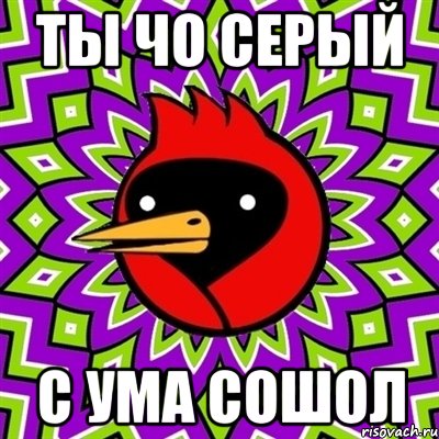 ты чо серый с ума сошол, Мем Омская птица