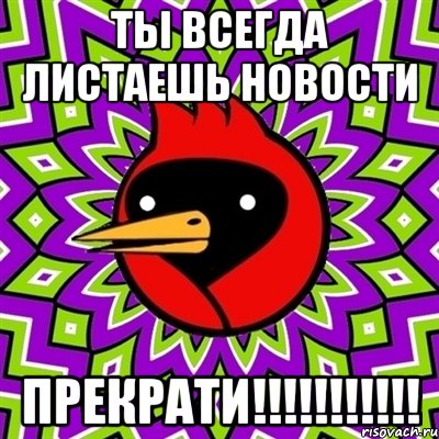 ты всегда листаешь новости прекрати!!!, Мем Омская птица
