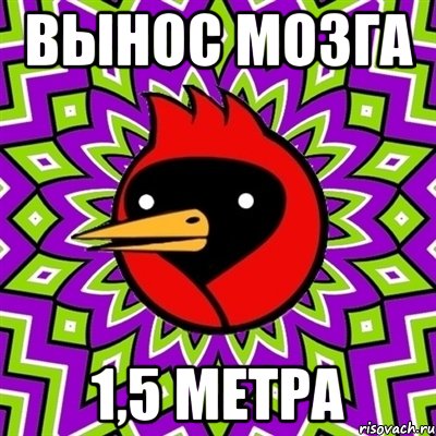 вынос мозга 1,5 метра, Мем Омская птица