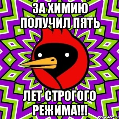 за химию получил пять лет строгого режима!!!, Мем Омская птица