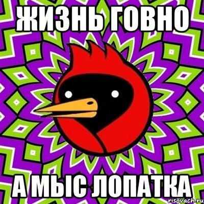 жизнь говно а мыс лопатка, Мем Омская птица