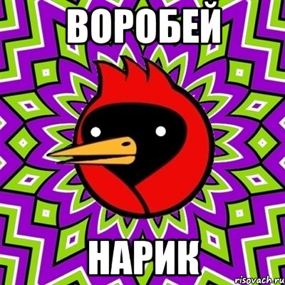 воробей нарик, Мем Омская птица