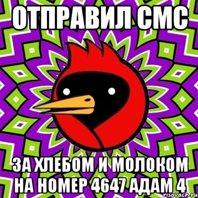 отправил смс за хлебом и молоком на номер 4647 адам 4, Мем Омская птица